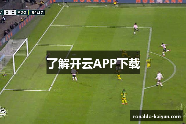 了解开云APP下载